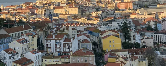Lisbon tiled roofscape, river and distant bridge framed by overhead tree canopy.