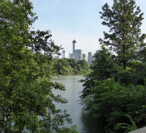 Central Park lake framed by trees with Manhattan skyline beyond.