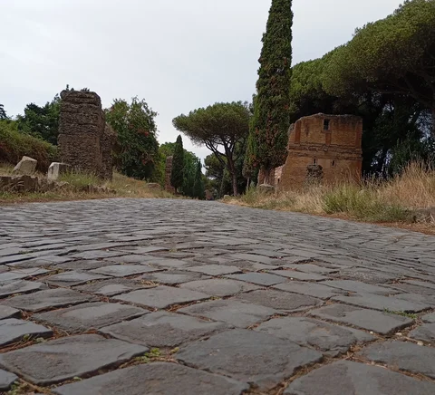 Basalt paving and roadside trees on Rome’s Appian Way, photographed in August 2026.
