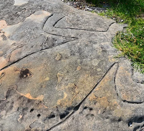 Aboriginal rock engraving, North Bondi, Sydney